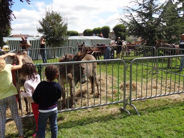 fete 2016 (129).jpg